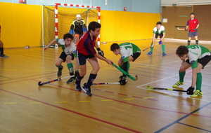 Séniors à Montélimar : Chpt AuRA de hockey en salle