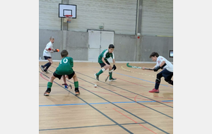 U14 à Grenoble : Chpt régional salle (J3)