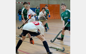 U14 gars et U17 filles à Caluire : Chpt Régional