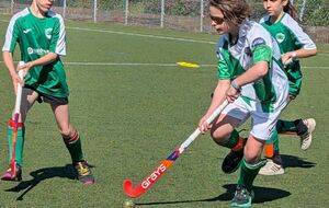 Stage de hockey (vacances Toussaint) ouvert à TOUS....